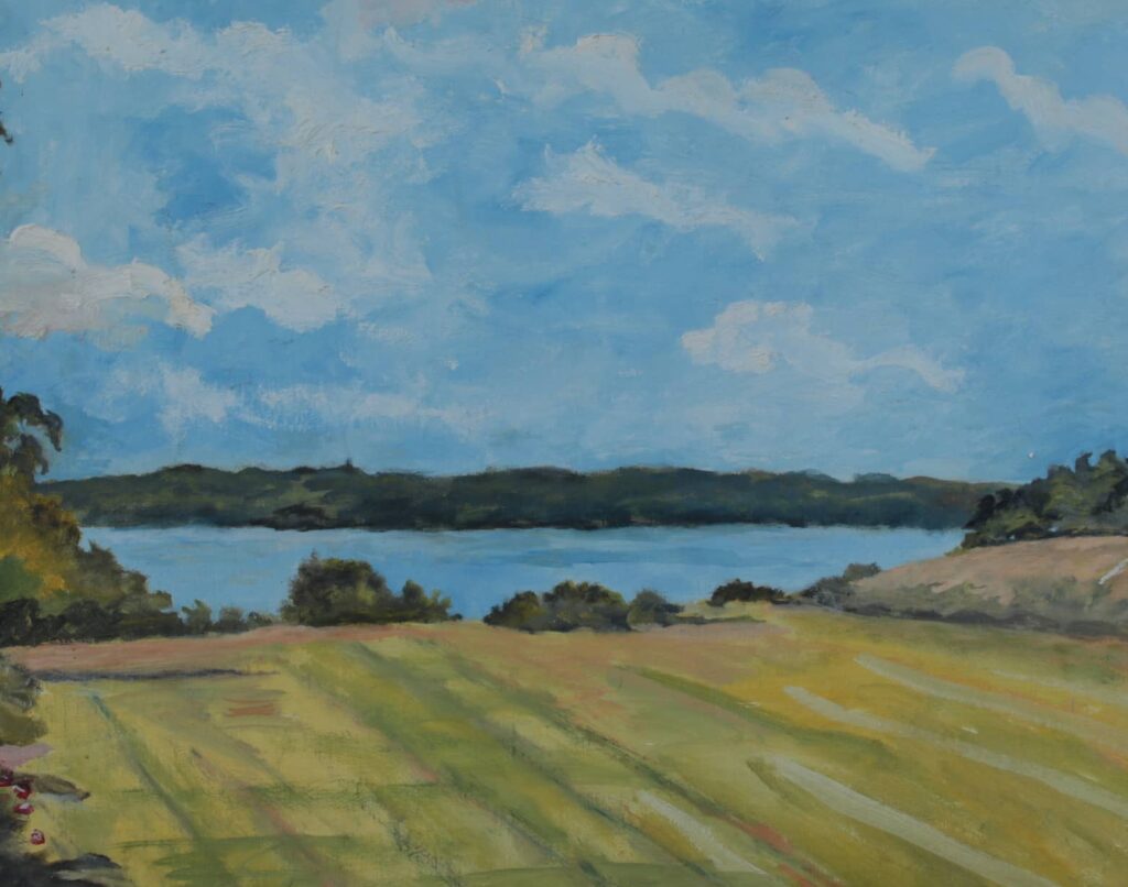 Udsigt over Furesø fra Frederiksdalsvej - Lyngbymalerens bedste - 10